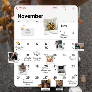 mois de novembre planification