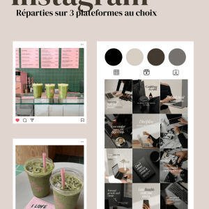 Example de publication Instagram pour une compagnie de matchat